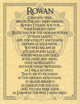 Rowan